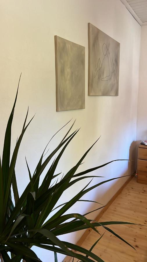 Ferienwohnung Mahar Feistritz im Rosental المظهر الخارجي الصورة